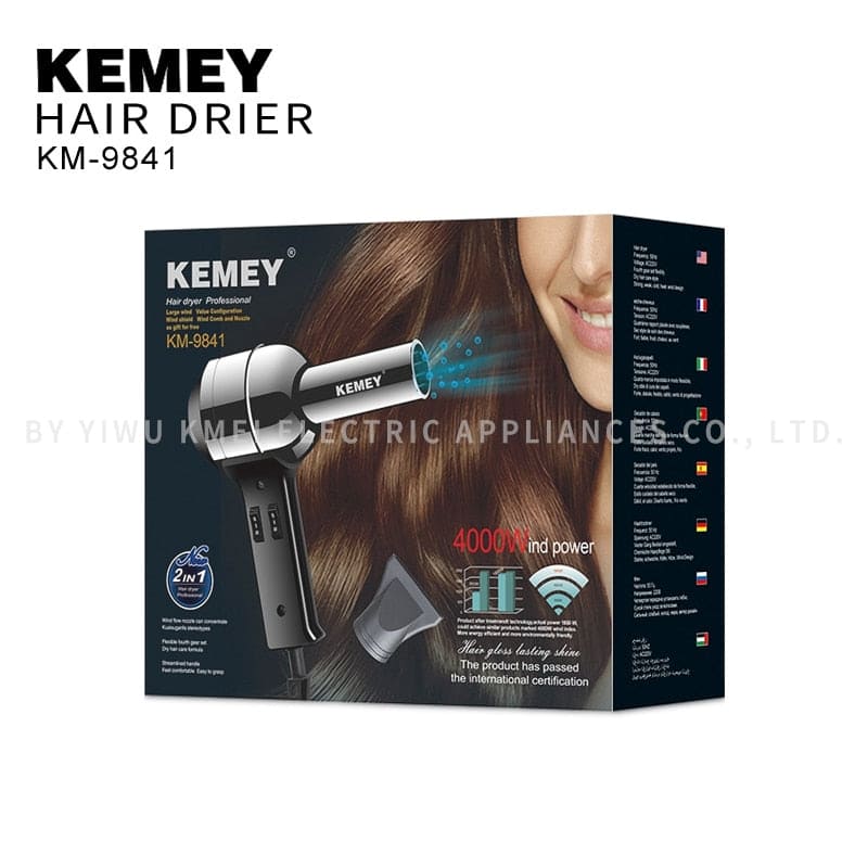 Professional Salon Hair Dryer with Concentrator 2 Heat Speeds-4000 W