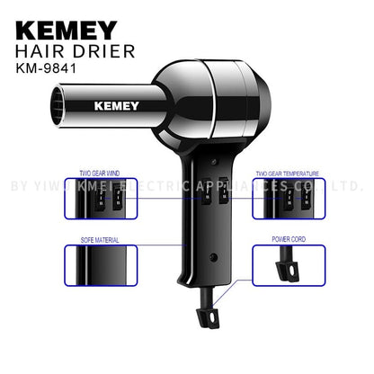 Professional Salon Hair Dryer with Concentrator 2 Heat Speeds-4000 W