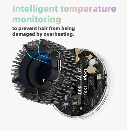 Professional Blow Dryer- High power