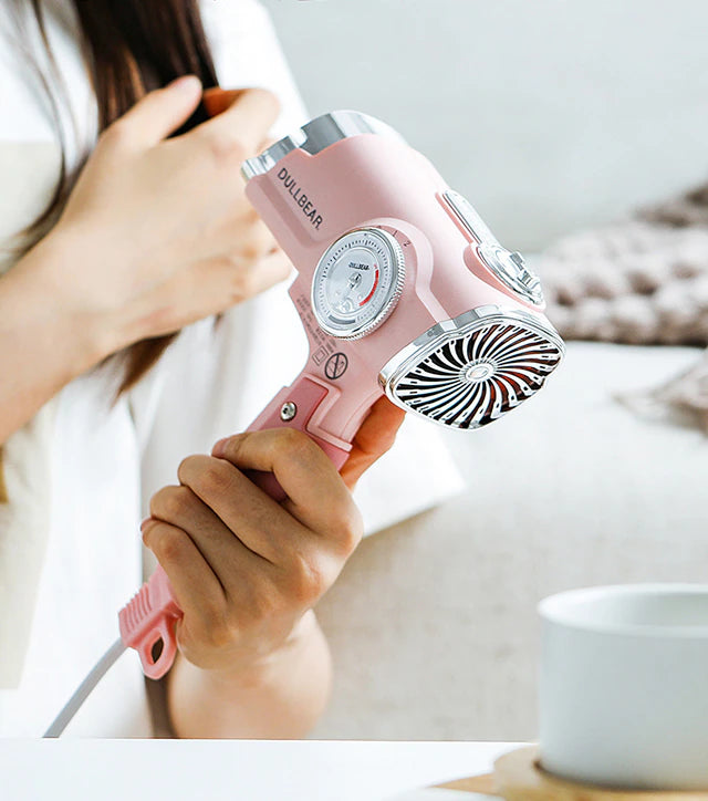 Professional Blow Dryer- High power